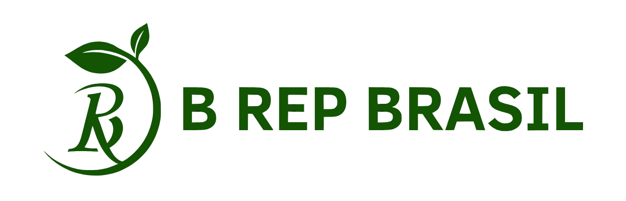 B REP BRASIL